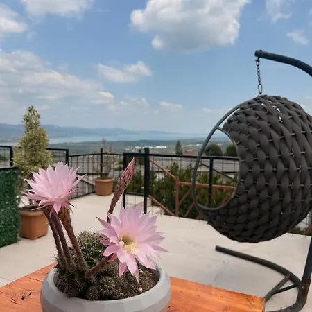 Terrace With View, Masukiye كارتيبي